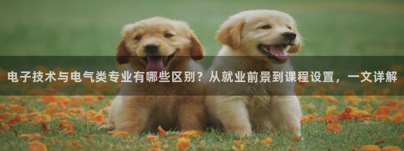 凯发平台8