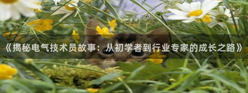 凯发国际平台首页