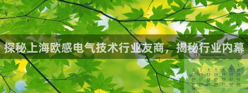 凯发娱乐官方网