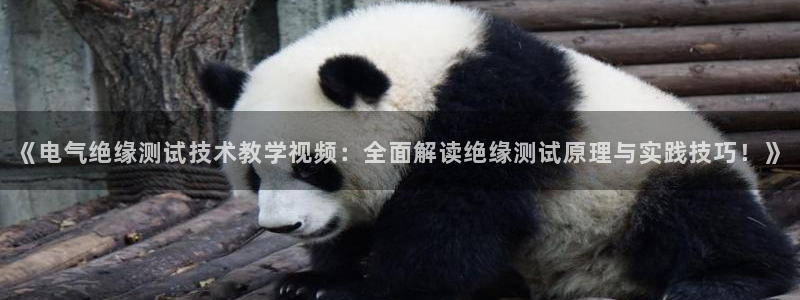 凯发旗舰厅网站