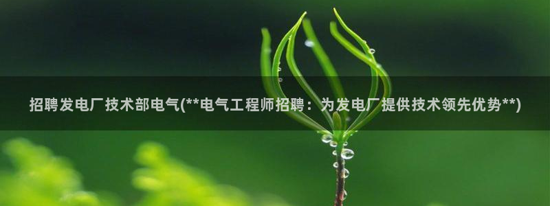 凯发国际怎么赚钱