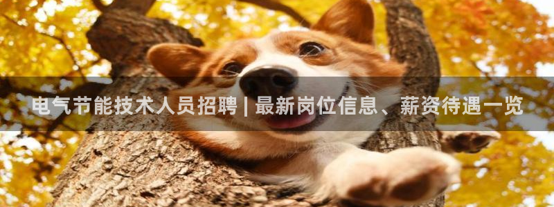 凯发app是干嘛的