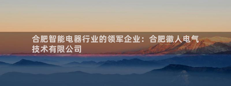 凯发注册手机版官网：合肥智能电器行业的领军企业：合