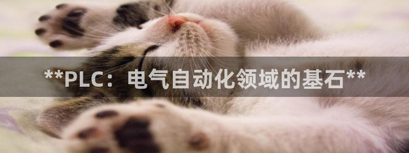 凯发国际平台登录入口官网：**PLC：电气自动化领