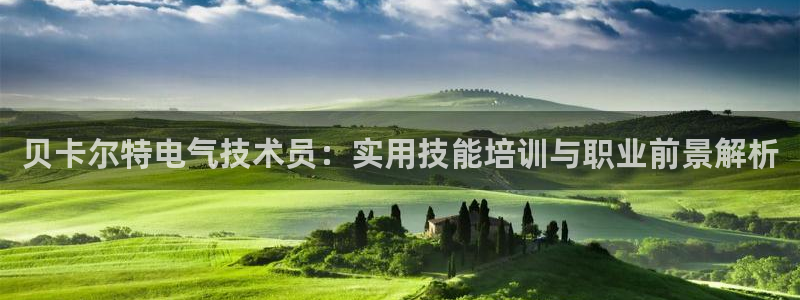 凯发旗舰客户端：贝卡尔特电气技术员：实用技能培训与
