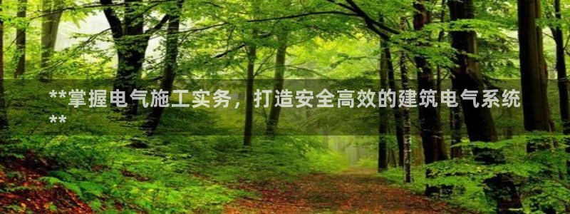 凯发k8国际真人娱乐手机app：**掌握电气施工实