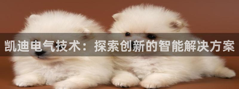 凯发k8国际注册：凯迪电气技术：探索创新的智能解决